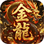 金龙单职业